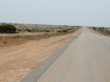 DSCN4966