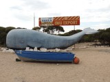 The Big Whale