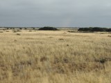 Nullarbor 8