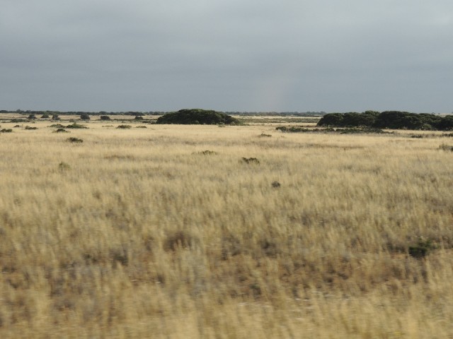 Nullarbor 8