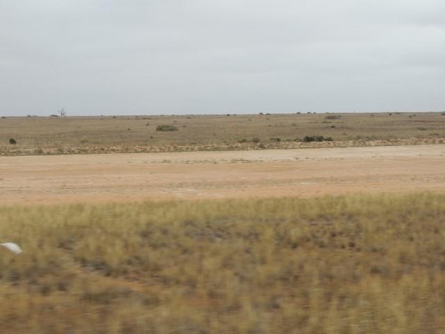 Nullarbor 9