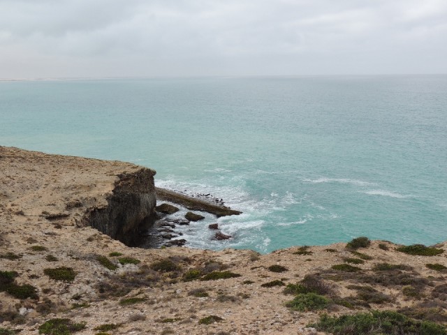 Head of Bight 1