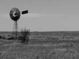 Nullarbor 11