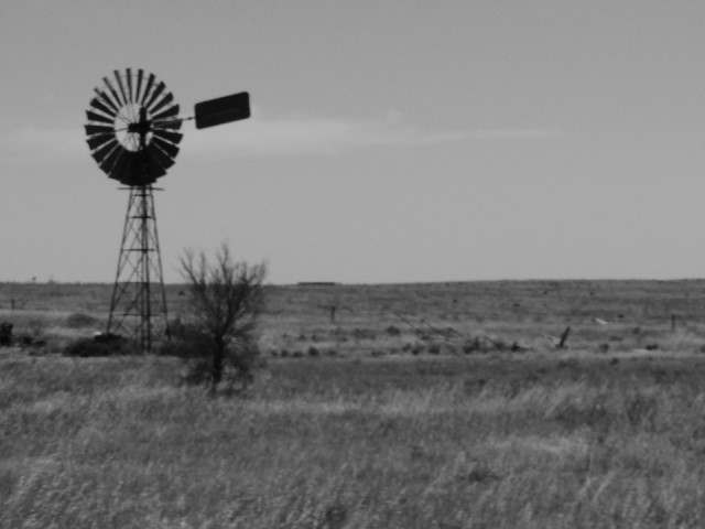 Nullarbor 11