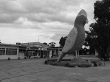The Big Galah 2