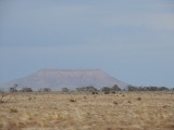On the road to Glendambo 2