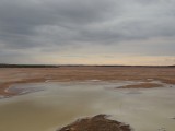 Arid plains