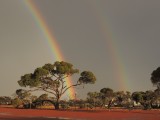 Rainbow op de campsite