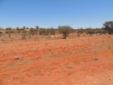 Op weg naar Uluru 1