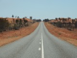 Lasseter Highway