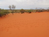 The Red center!
