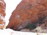 DSCN6064