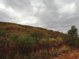 DSCN6161
