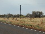 DSCN6331