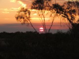 DSCN6365