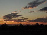 DSCN6367