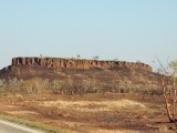 DSCN6381