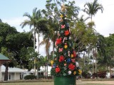 Kerstboom in Finch Hatton!
