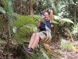 Flying fox fun 2