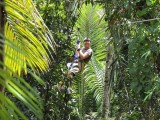Flying fox fun 6