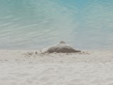 Lake McKenzie 2