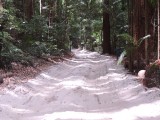 4WD van Central Station naar Eurong Beach Resort