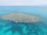Bovenaanzicht Reef 1