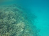 Lady Musgrave Reef 12
