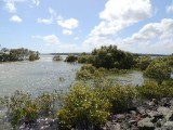 Tin Can Bay Norman Point