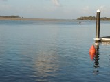Pelican Beach