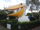 The Big Pelican