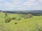 Mapleton lookout 2