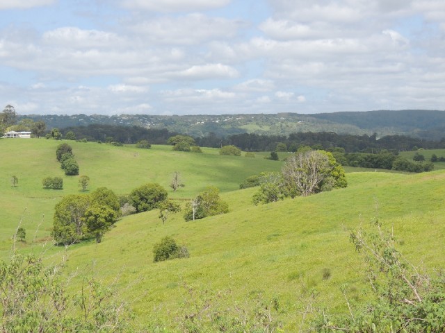 Mapleton lookout 2