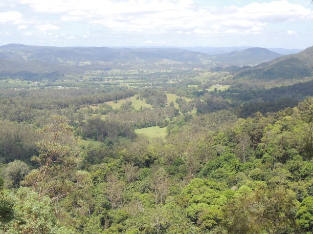 Mapleton lookout 3