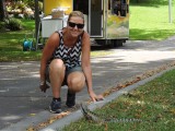 Roma Street Parklands 1
