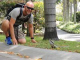 Roma Street Parklands 2