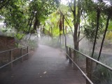 Roma Street Parklands 8