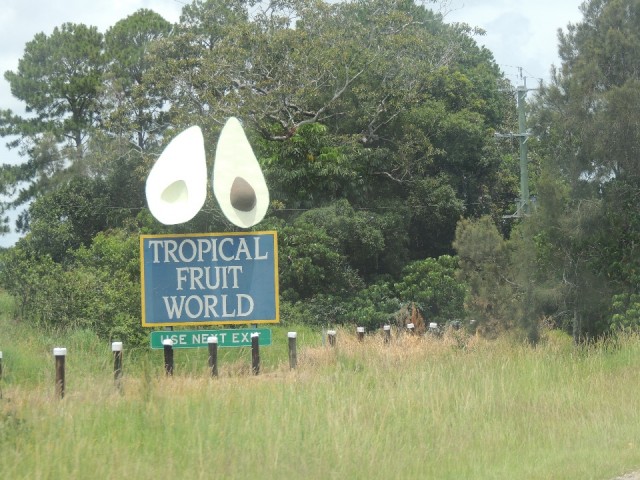 The Big Avocado
