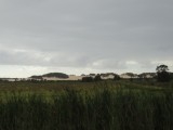 Zandduinen