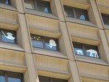 Star Wars gekte in de kantoren