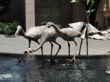 Street Art Darling Harbour
