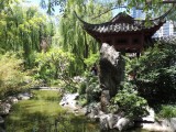 Chinese gardens 1