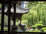 Chinese gardens 3