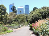 Royal Botanic Gardens 2