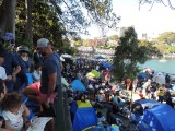 The crowd
