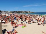 Bondi Beach 2 De Nederlanders