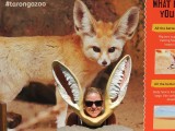 Zotjes doen Taronga Zoo