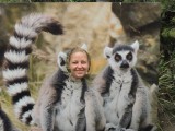Zotjes doen Taronga Zoo 2