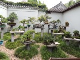 Chinese Gardens 4
