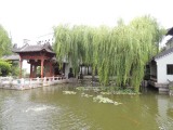 Chinese Gardens 6